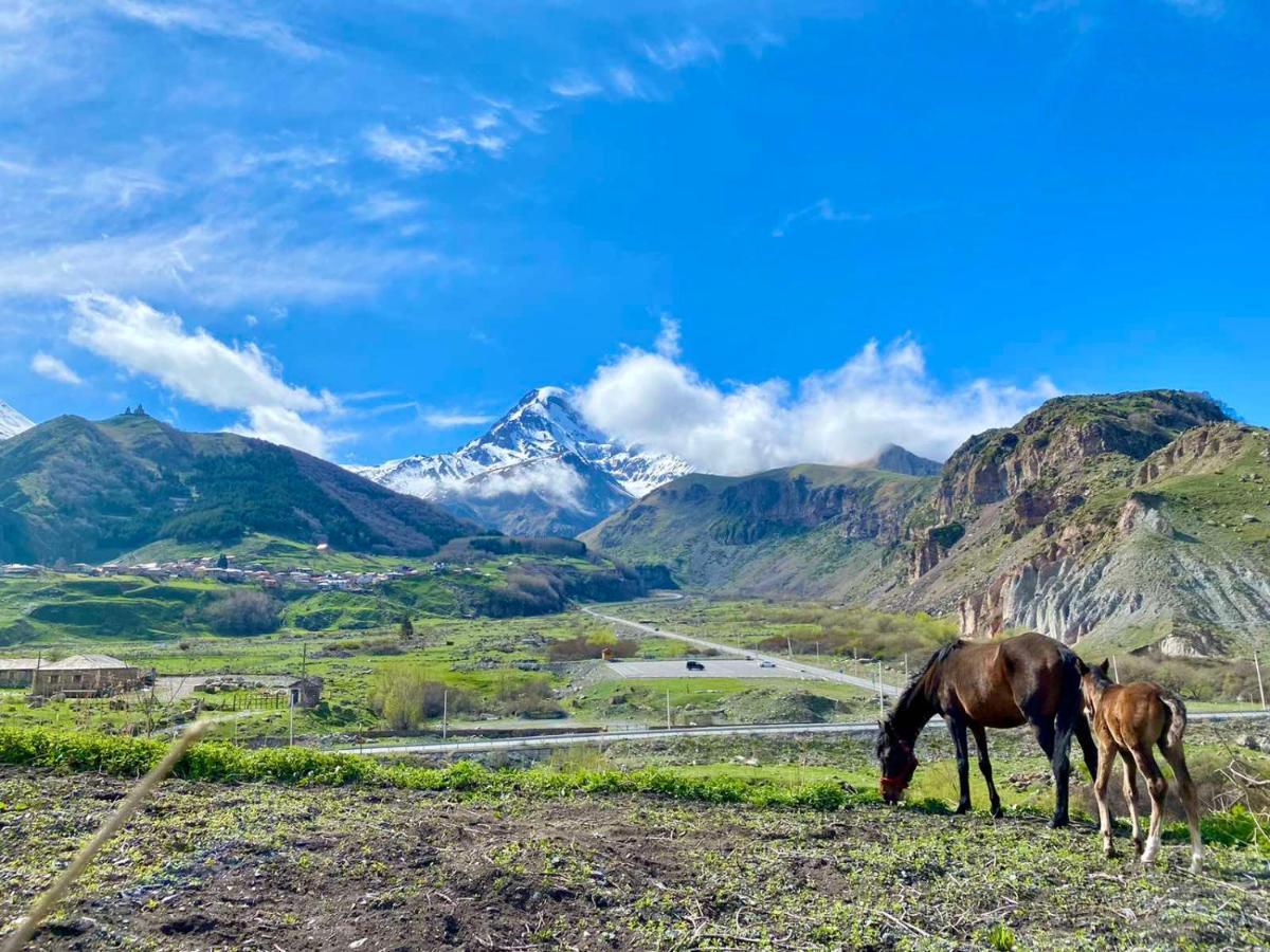 Kazbegi Inn Экстерьер фото