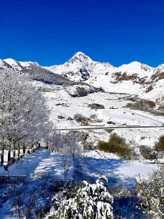 Kazbegi Inn Экстерьер фото